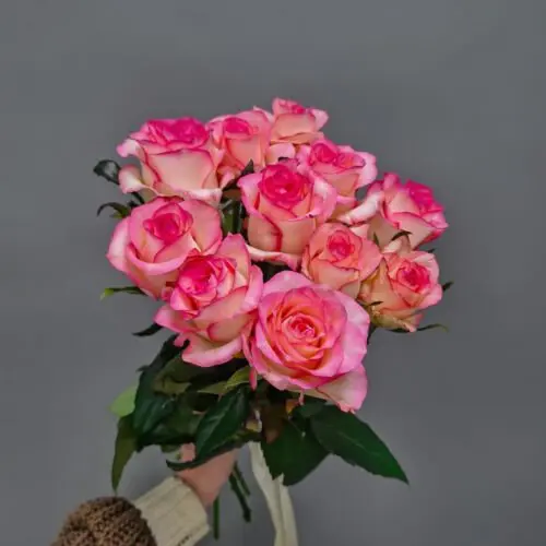 АКЦИЯ 11 роз России под ленту