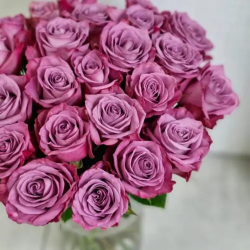 АКЦИЯ 25 роз ЭКВАДОР 50 см