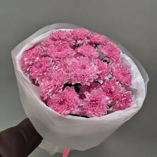 Букет из 5 кустовых хризантем в круглой упаковке