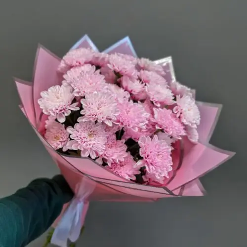 Букет из 5 кустовых хризантем с оформлением