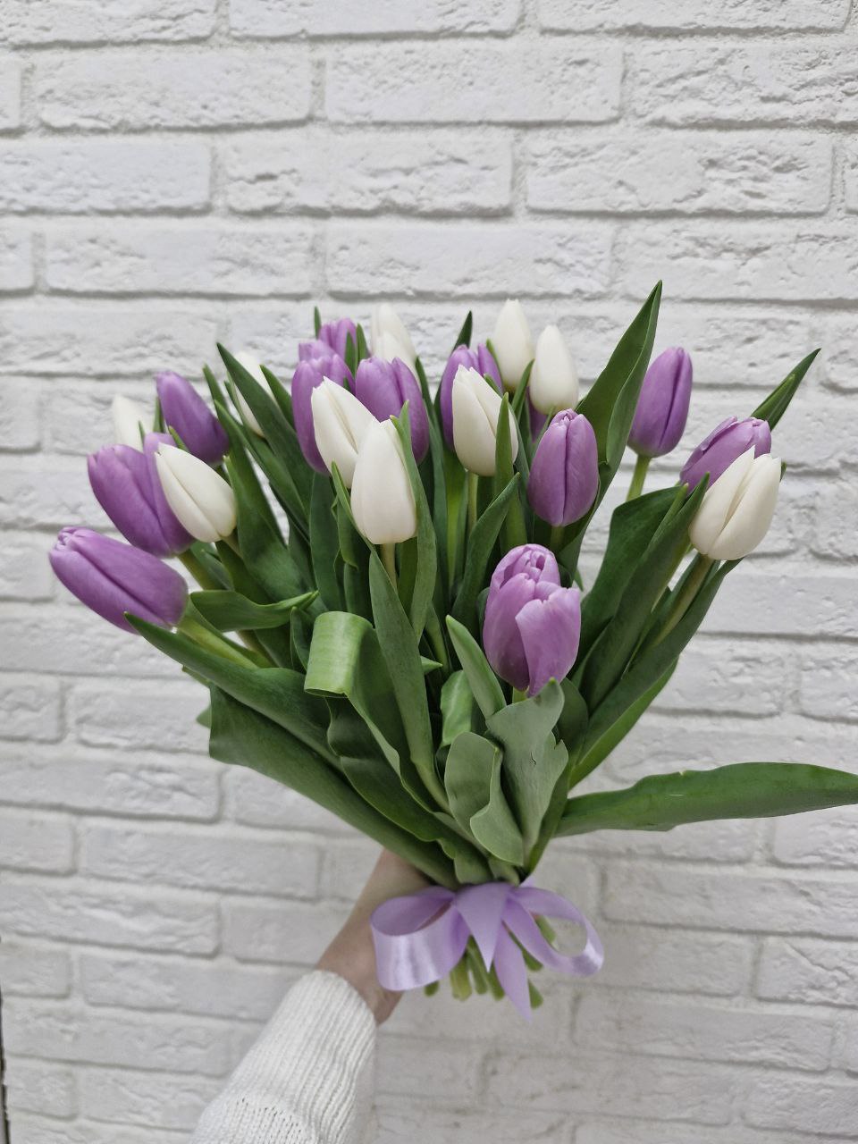 photo_2025-03-06_13-32-52